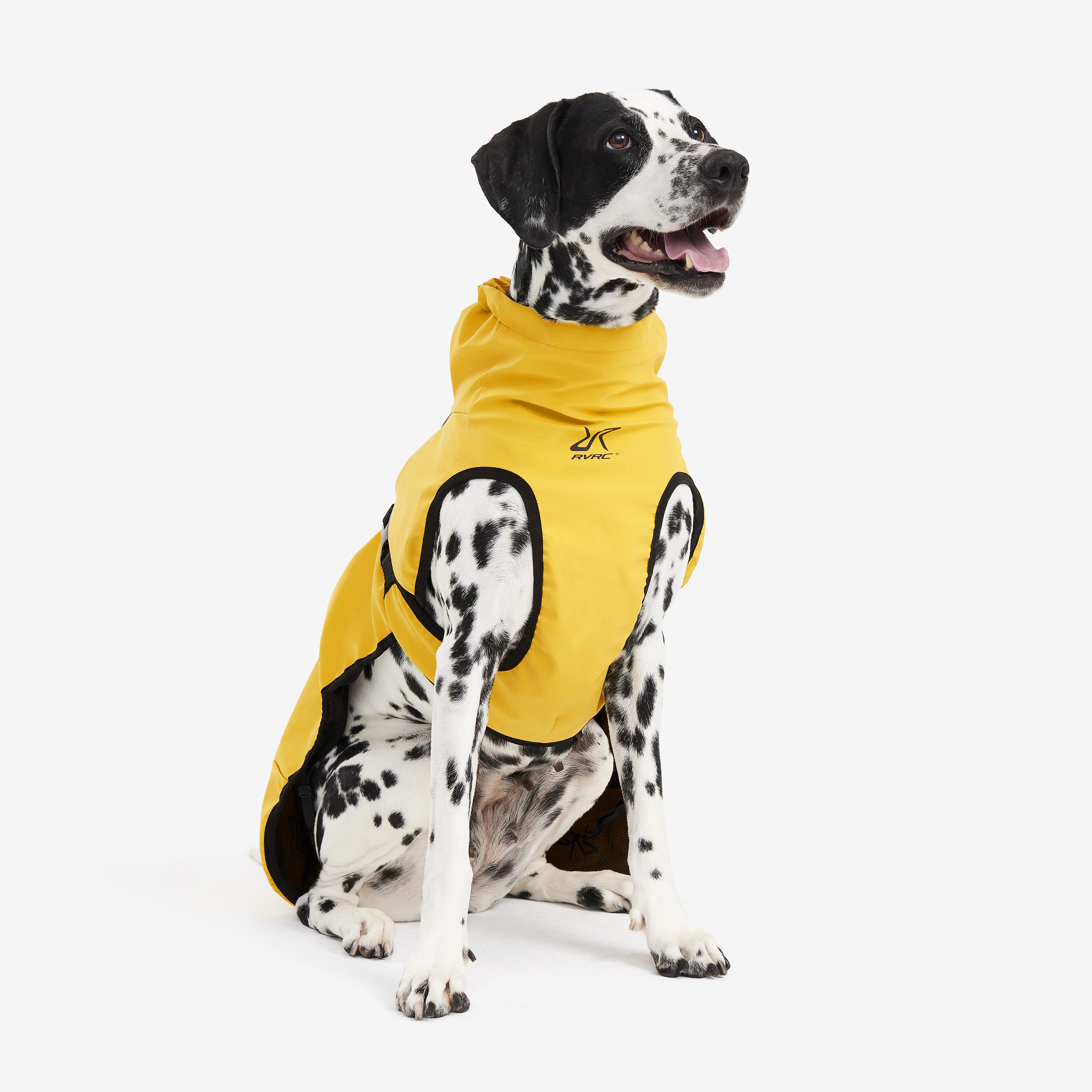 Cyclone Dog Jacket Yellow Cane