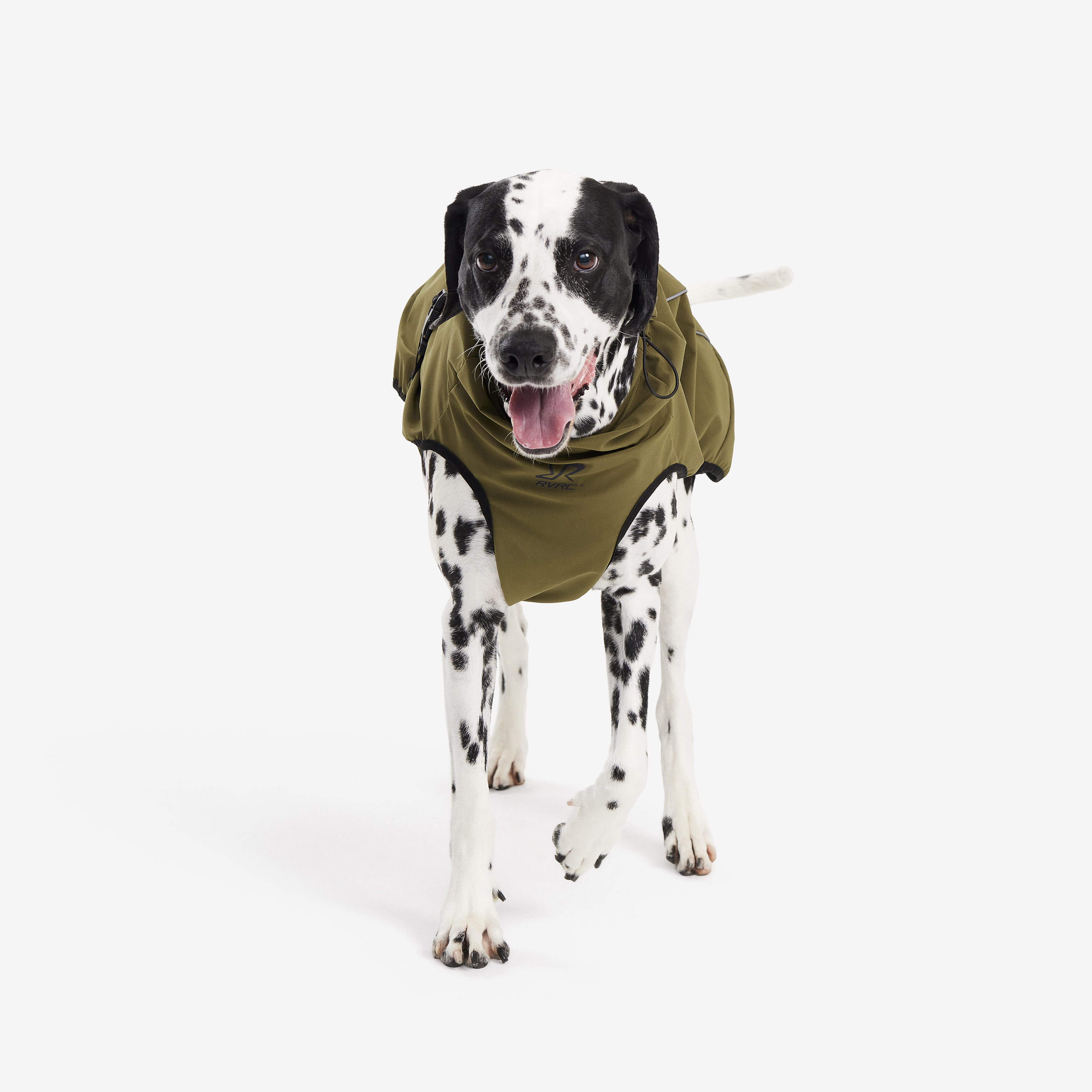 Cyclone Dog Jacket Dark Olive Hund