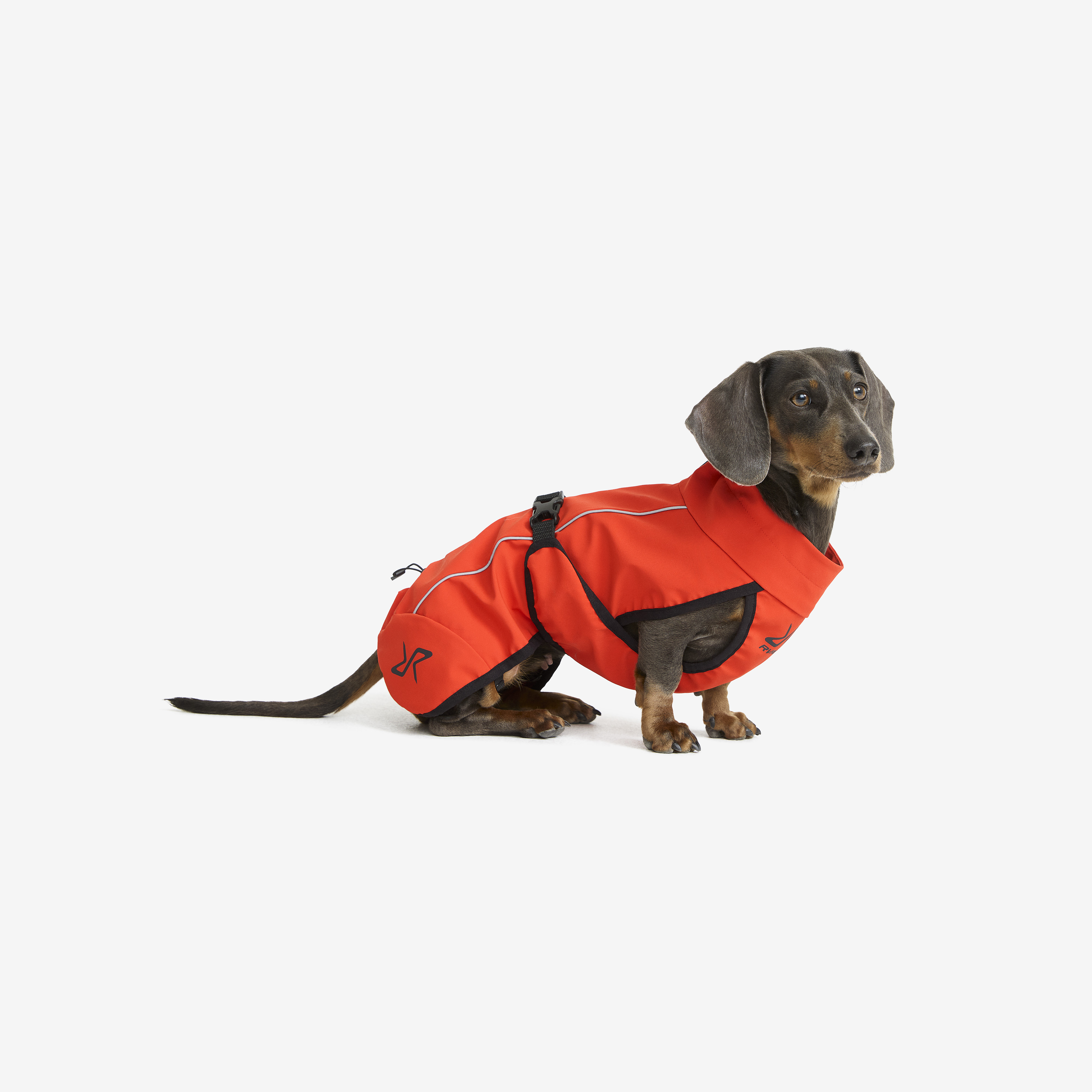 Cyclone Dog Jacket Pureed Pumpkin Kora