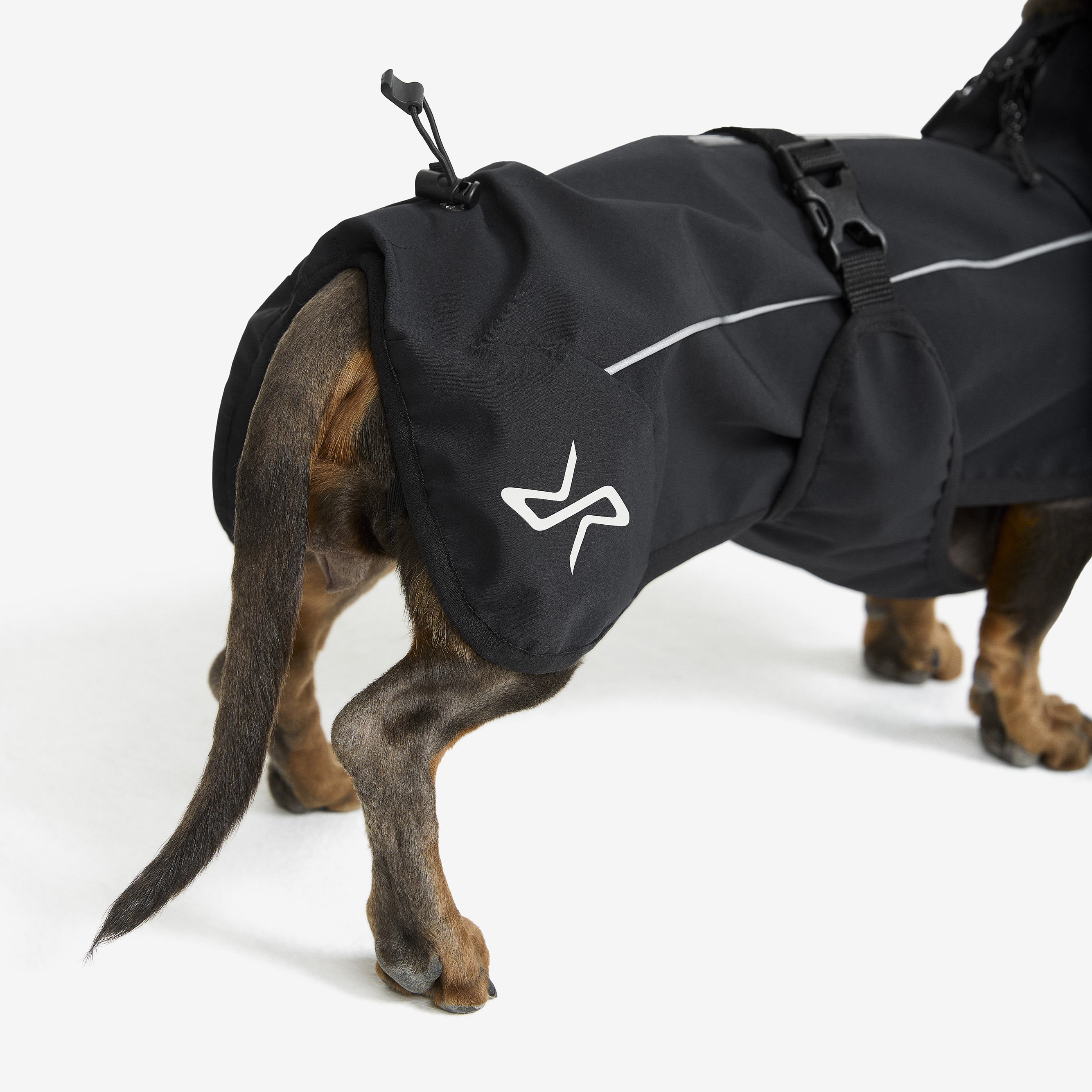 Black jacket dog best sale