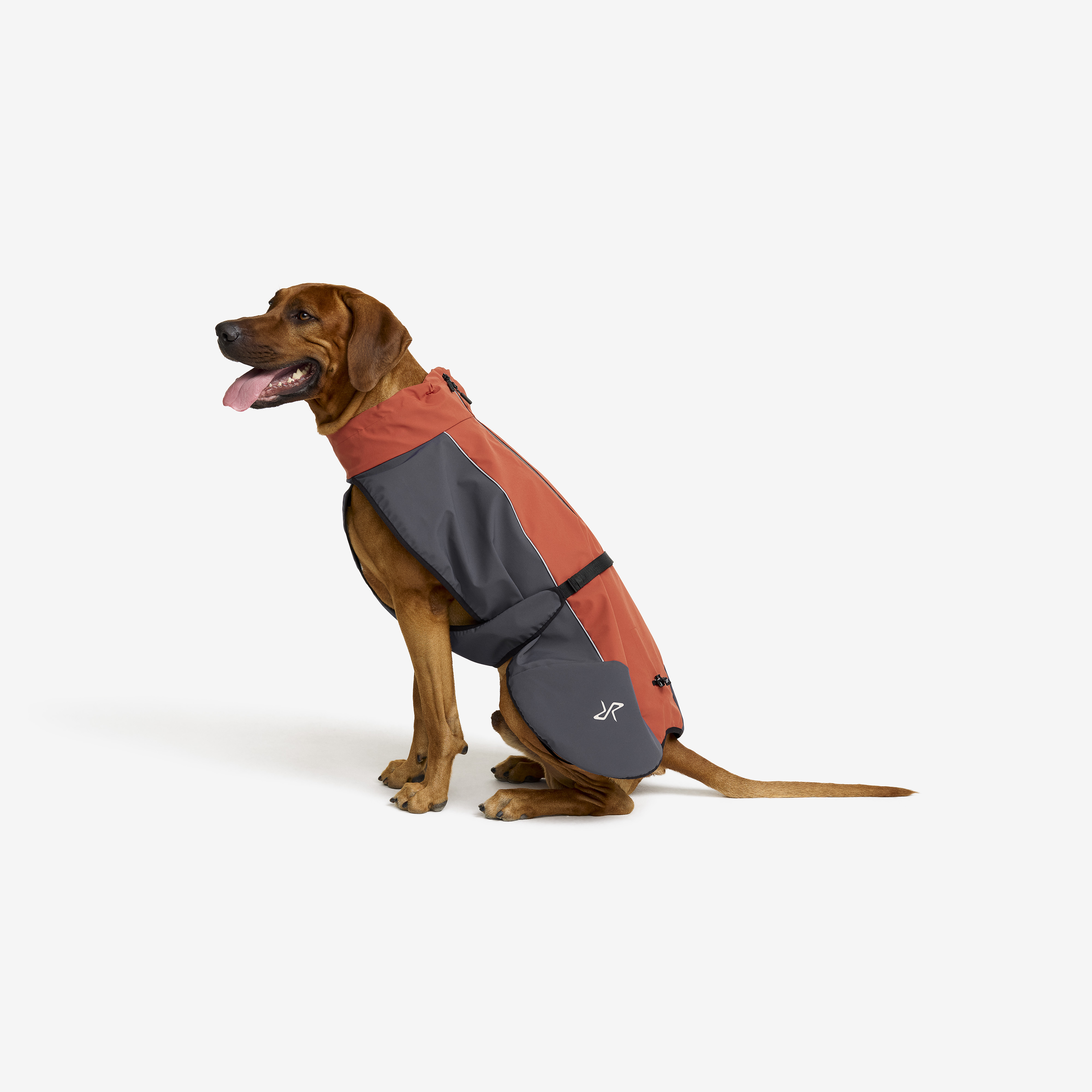 Cyclone Dog Jacket Bossa Nova/India Ink Hund,