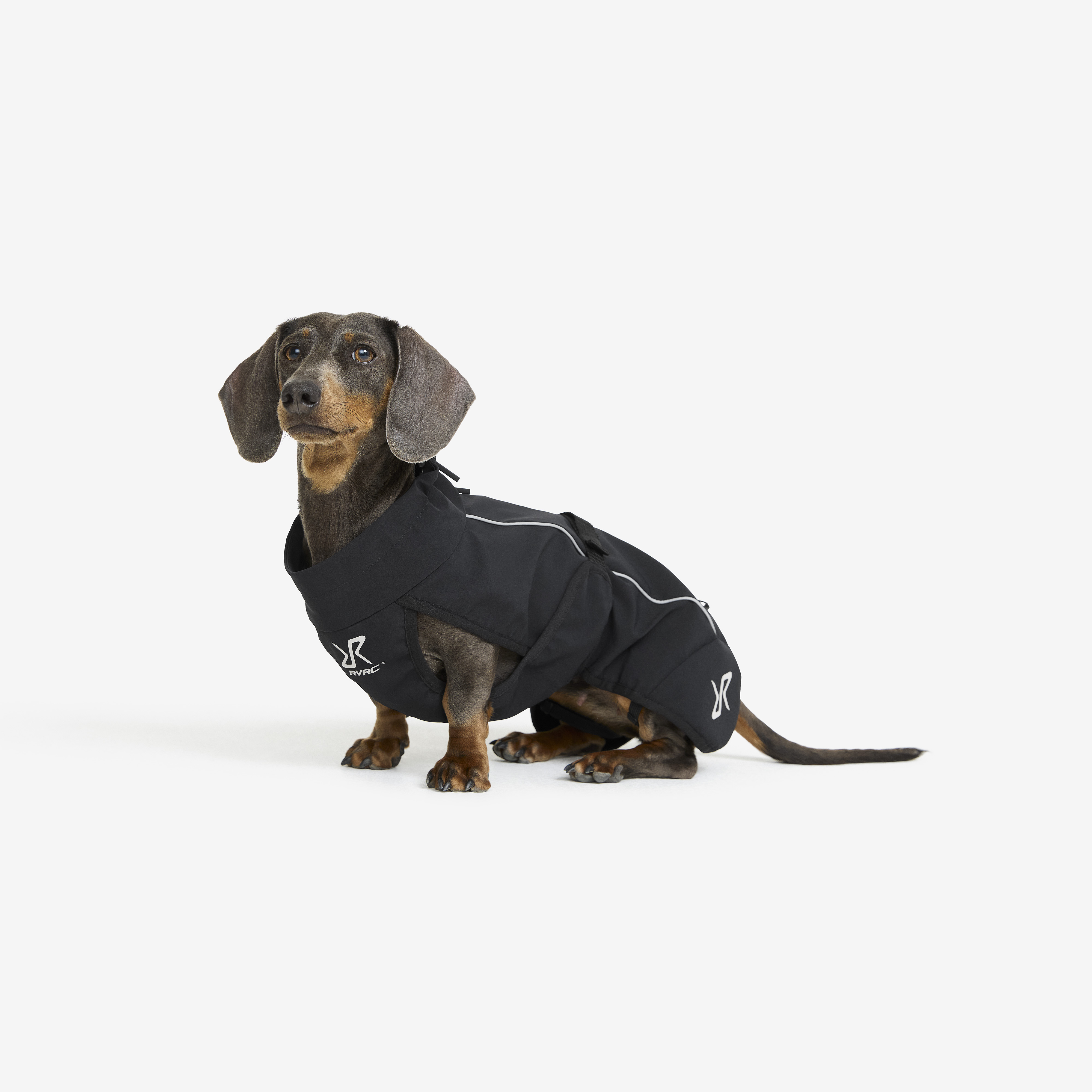 Cyclone Dog Jacket Black Dog