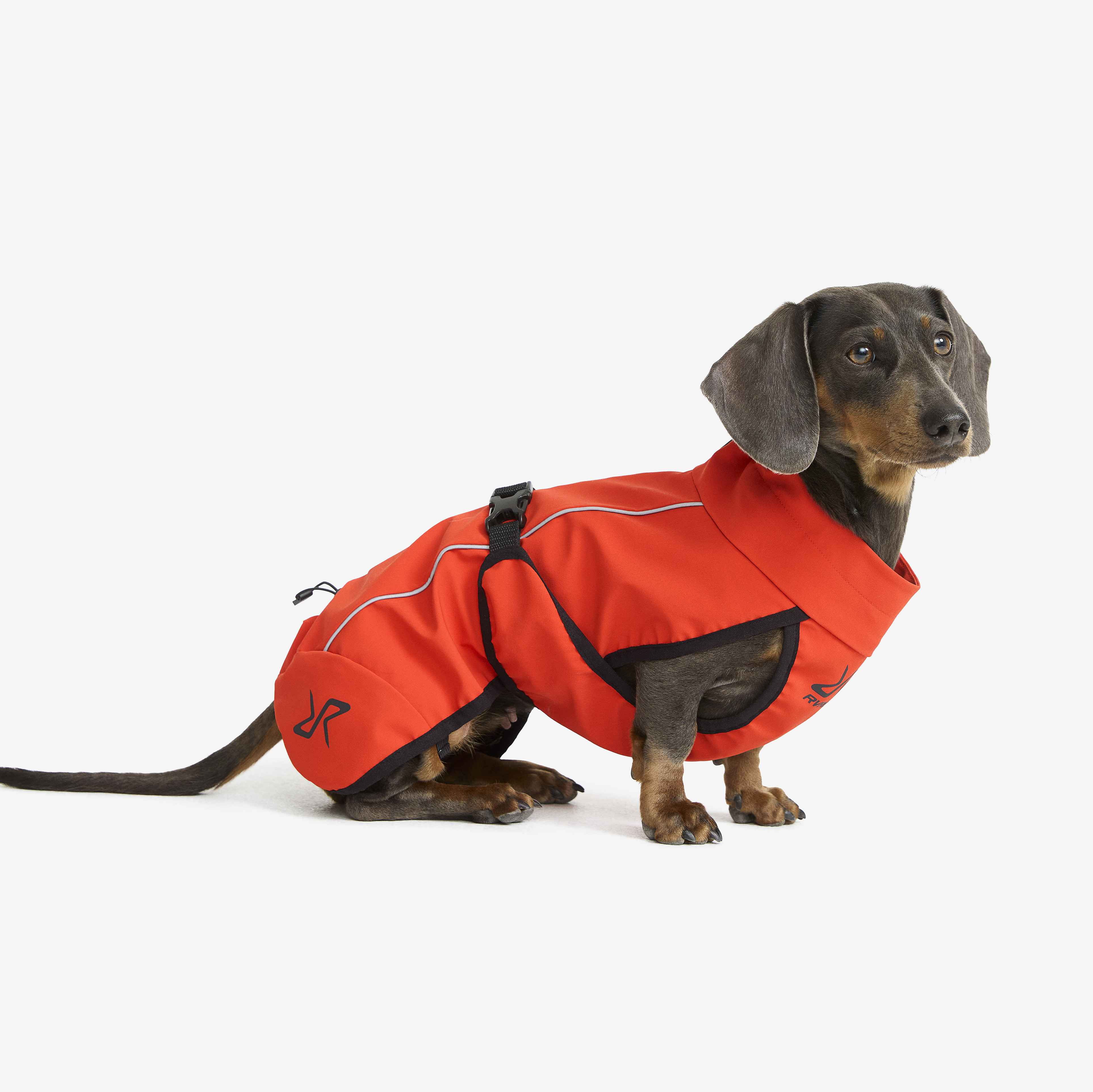 Cyclone Dog Jacket Pureed Pumpkin Chien