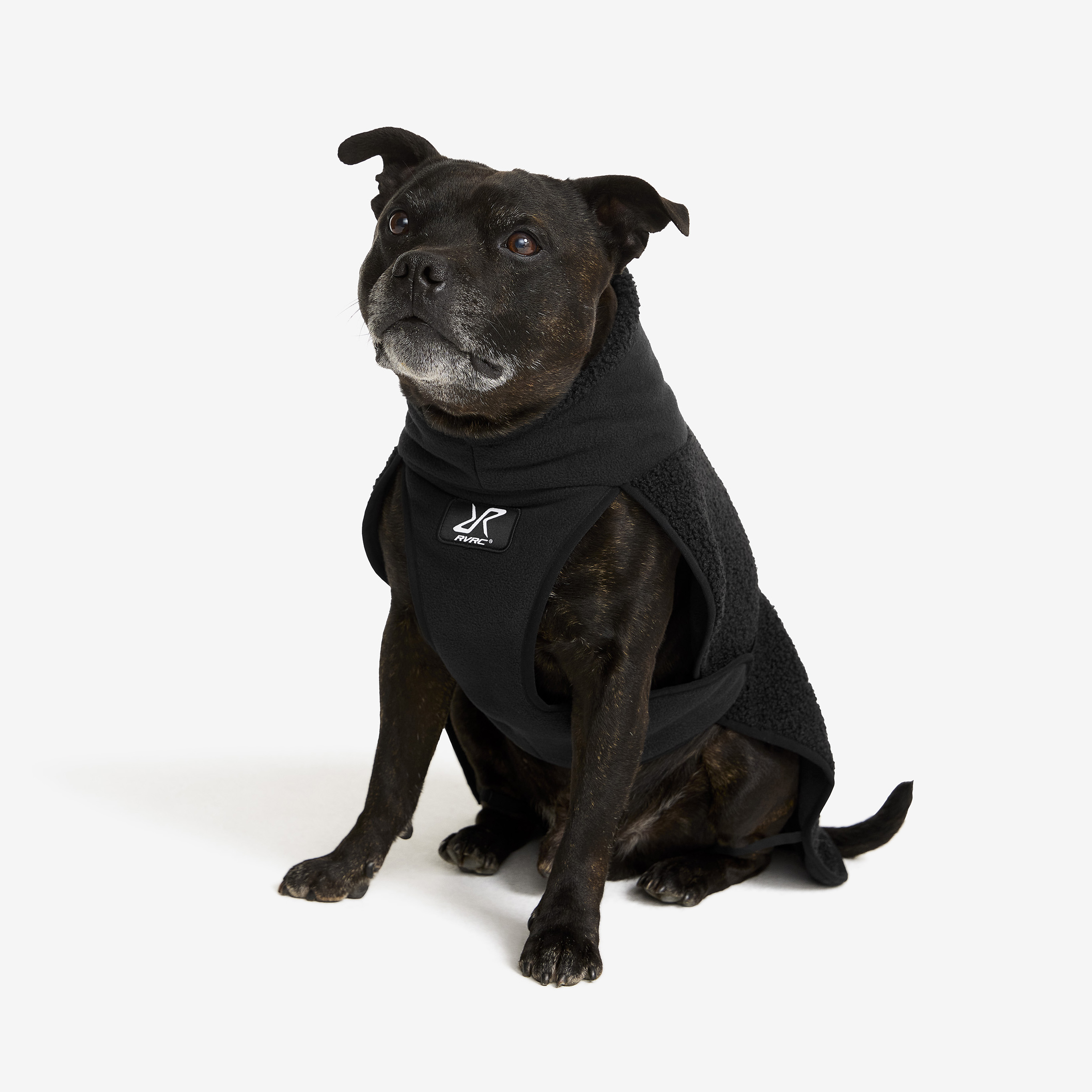 Bigfoot Dog Jacket Black Hond