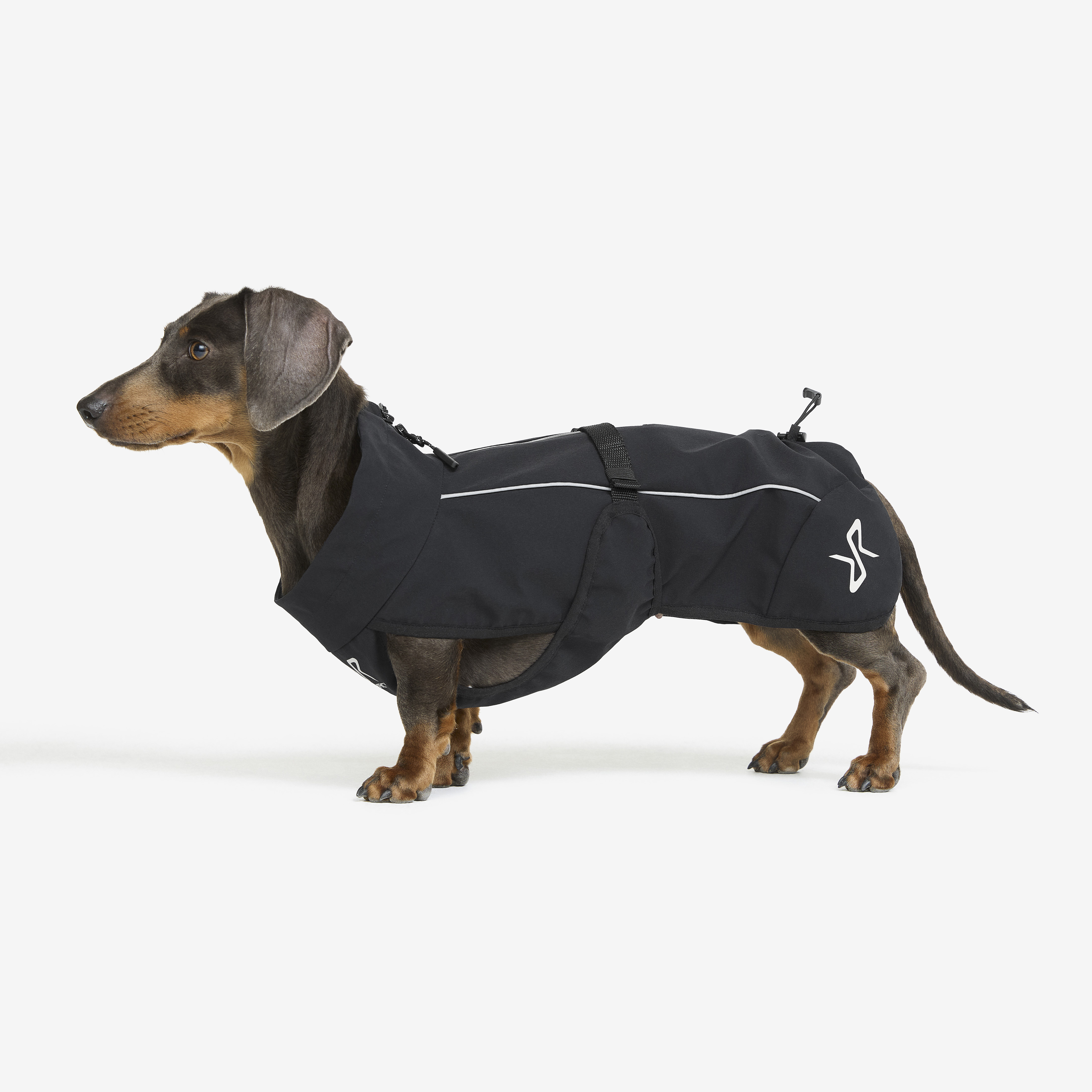 Cyclone Dog Jacket Dog Black RevolutionRace